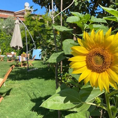 Lemon-Ada Butik Otel Kusadası Exteriör bild
